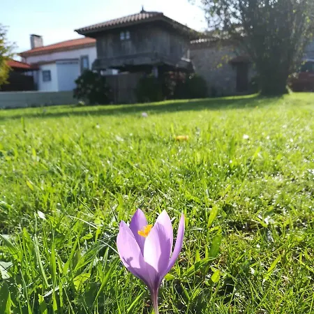Los Xentiles Casa di campagna